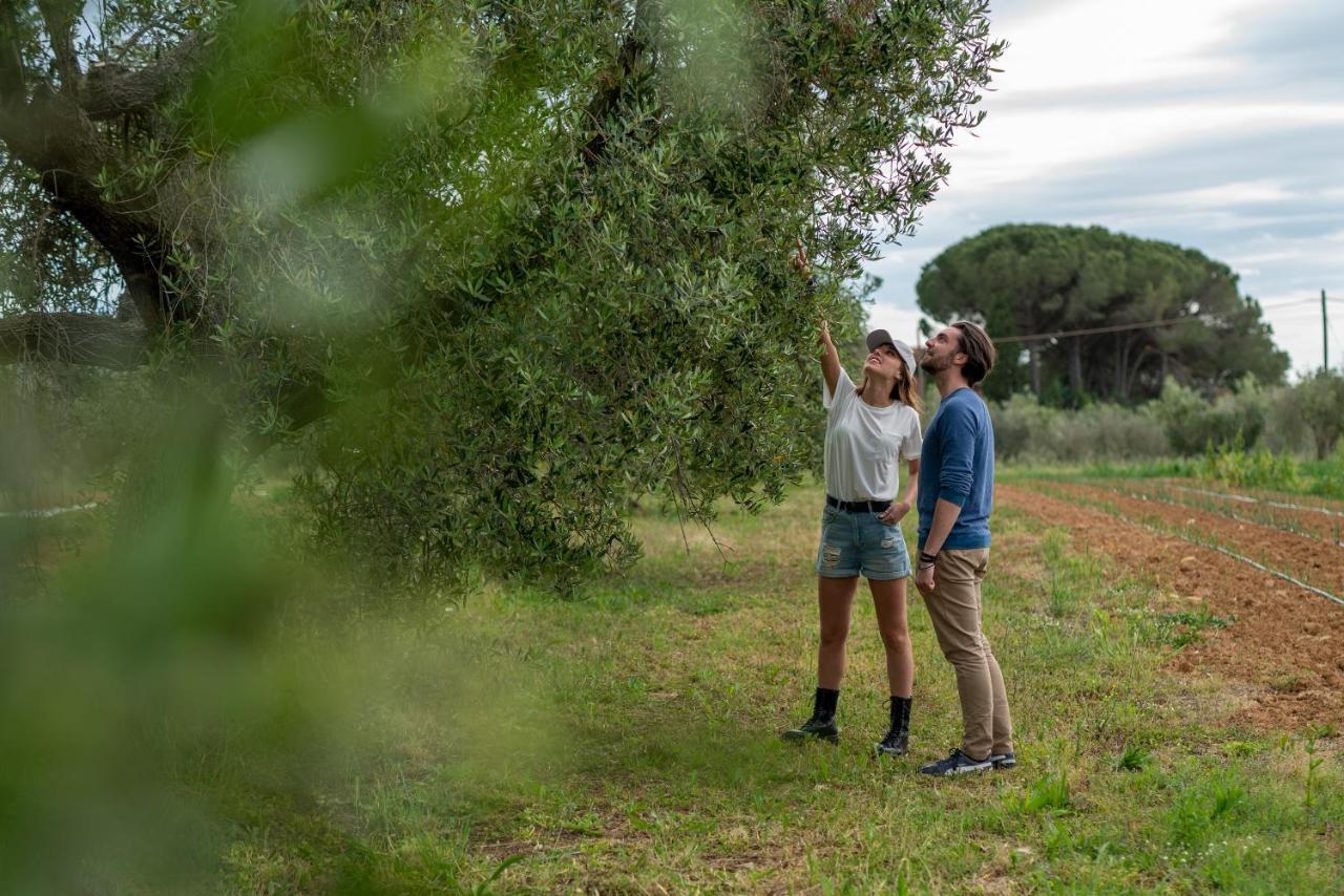 Agriturismo La Banchella Scarlino Extérieur photo