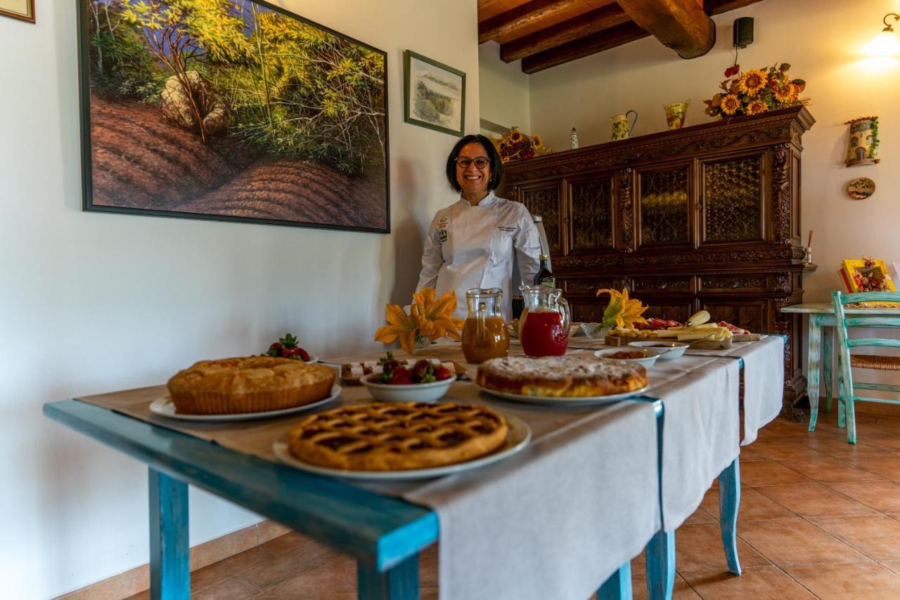 Agriturismo La Banchella Scarlino Extérieur photo