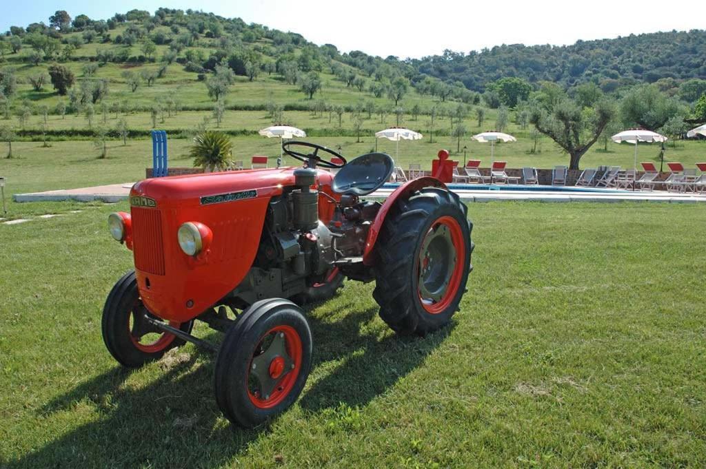 Agriturismo La Banchella Scarlino Extérieur photo